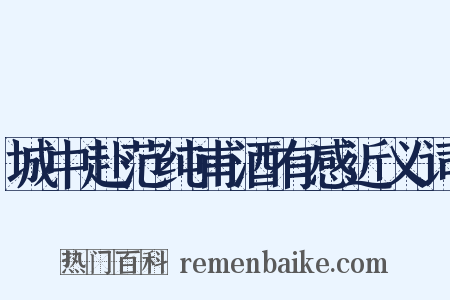 城中赴范纯甫酒有感近义词是什么意思的图片